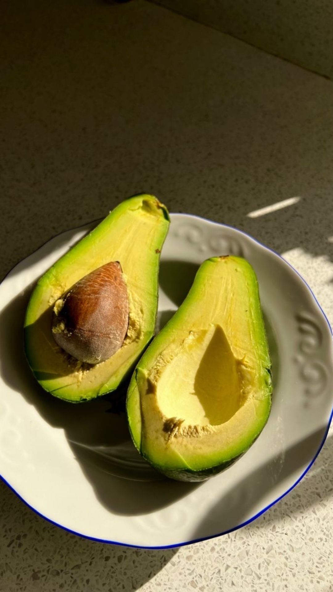 Aguacate Fuerte