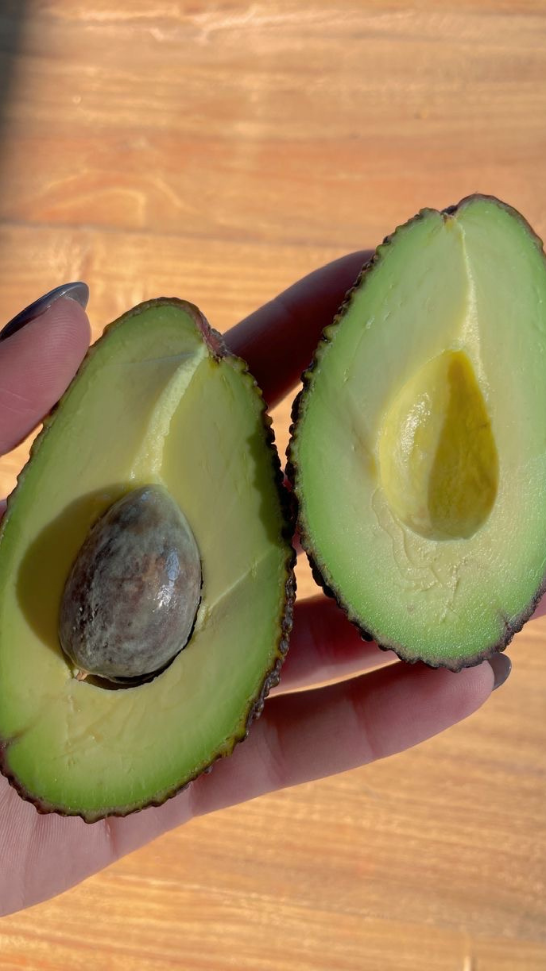Aguacate Hass Baby