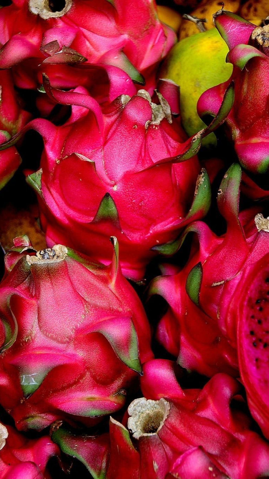 Pitahaya "La fruta del dragón"
