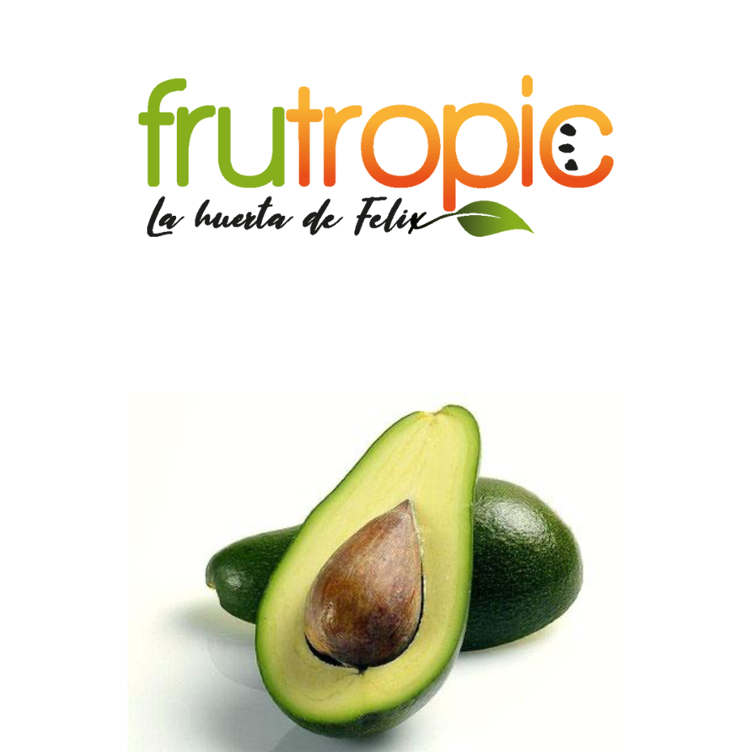 Aguacate Fuerte