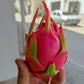 Pitahaya "La fruta del dragón"